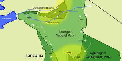 Kart over tanzania migrering 