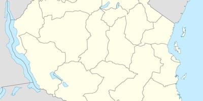 Kart over tanzania vektor